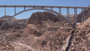 Education Vocabulary GIF by DIIMSA Stock