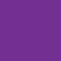 Everything GIF by BDHCollective