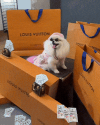 hilariadulcinea funny dog main character queen energy fashion dog GIF