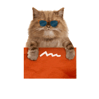 Motivation Positivity Sticker by Visit Ras Al Khaimah RAKTDA