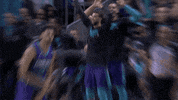 excited charlotte hornets GIF by NBA