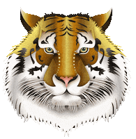 Bird Tiger Sticker by CATALINA ESTRADA