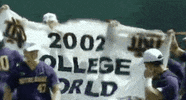Notre Dame Baseball GIF by NCAA Championships