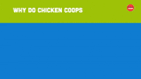 Chicken Coups