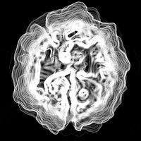 Art Loop GIF by mokkapresti