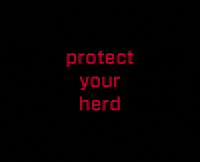 DatamarsLivestock sheep protect herd cattle GIF