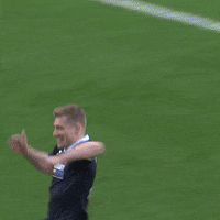 Happy Celebration GIF by MillwallFC