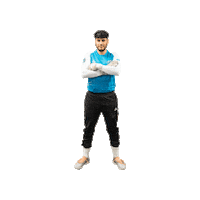 Riseasone Sticker by St. Louis Ambush