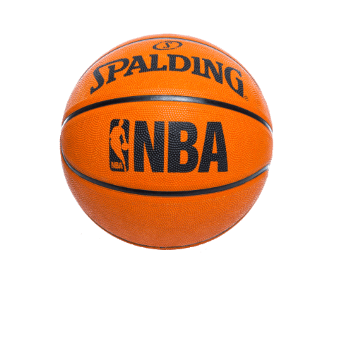 Basketball Nba Sticker by Five Below