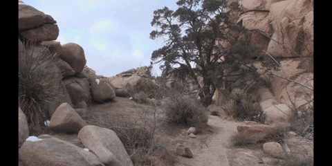 Education Vocabulary GIF by DIIMSA Stock