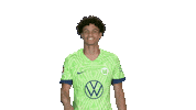 Football Hello Sticker by VfL Wolfsburg