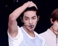 Cortis GIF