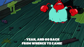 season 9 GIF by SpongeBob SquarePants