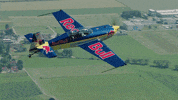 redbullracing france 2019 f1 motorsport GIF