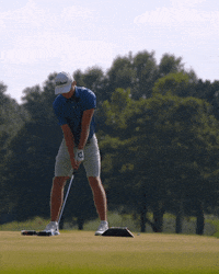 Georgia Tech Golf GIF by Georgia Tech Yellow Jackets
