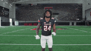 Red Raiders GIF by Texas Tech Football