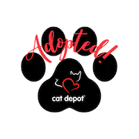 Cats Adopt Sticker by Cat Depot