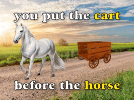 You Put The Cart Before The Horse