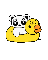 Summer Pool Sticker