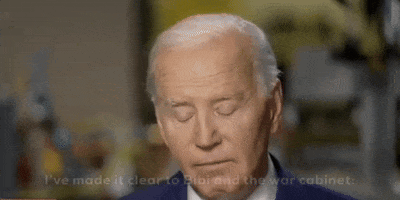 Joe Biden Interview GIF by GIPHY News