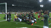 happy joie GIF by AS Saint-Etienne