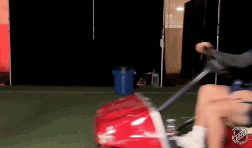 Happy Montreal Canadiens GIF by NHL