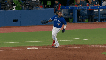 Major League Baseball Sport GIF by MLB
