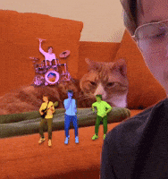 Cat Band GIF