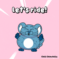 Travel Go GIF by VeeFriends