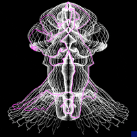 black and white animation GIF by The New Big Poppa E