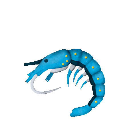 Ocean Swimming Sticker