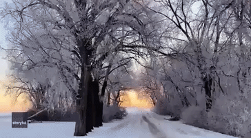 Sun Rises Over Frosty Minnesota Country Road