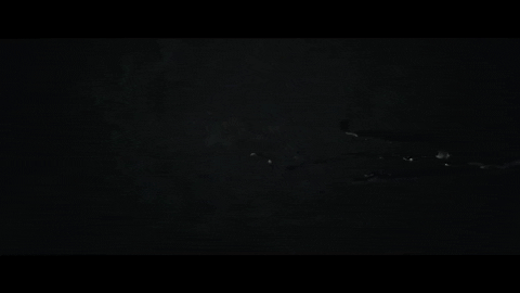 rosie lowe birdsong GIF