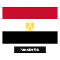 Egypt Flag Sticker by Formación Ninja