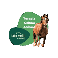 Terapia Celular Sticker by BIO CELL by Vetnil