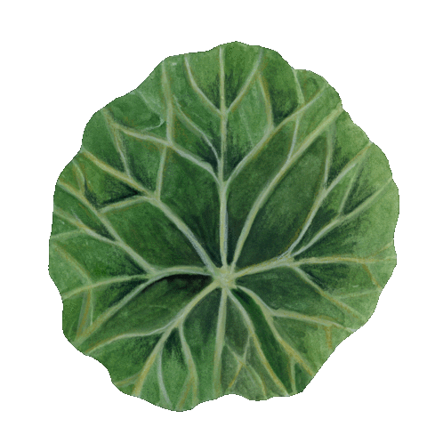 Food Nourish Sticker