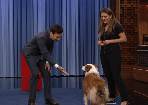 Tonight Show Omg GIF by The Tonight Show Starring Jimmy Fallon