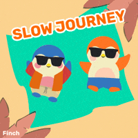 Happy Fun GIF by Finch Care