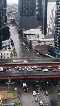 Heavy Rains Leave Melbourne Flooded on Race Day