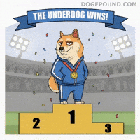 Proud Shiba Inu GIF by Doge Pound