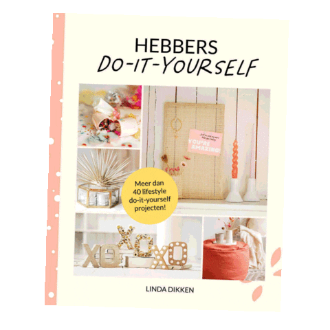 Do It Yourself Diy Sticker by Hebbers