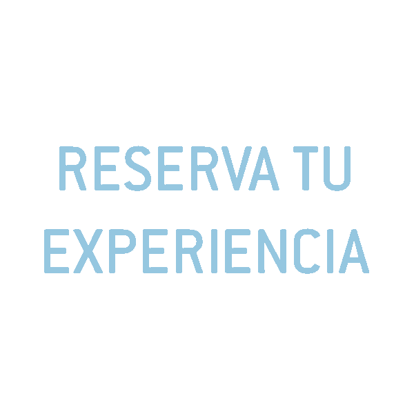 Piloto Aire Sticker by VirtualFly