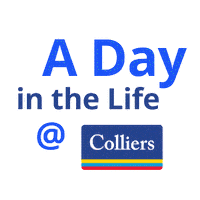 Commercial Real Estate Sticker by Colliers Canada