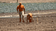 Team Competition GIF by CBS