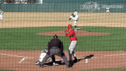 north dakota state baseball GIF by NDSU Athletics