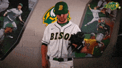 north dakota state baseball GIF by NDSU Athletics