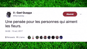 Twitter Tweet GIF