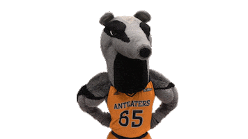 Uc Irvine College Sticker by UCI Athletics