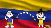 Caracas Fc Flag GIF by Zhotcita