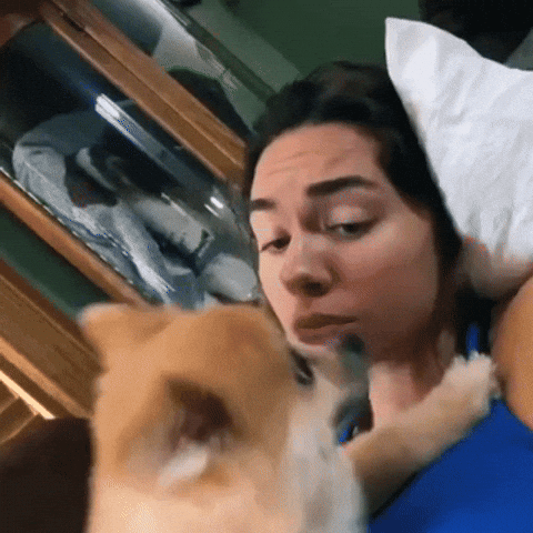 Dog Kiss GIF